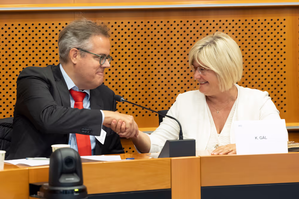 Minorities Intergroup Conference - Pillars of diversity: Our linguistic heritage shapes Europe