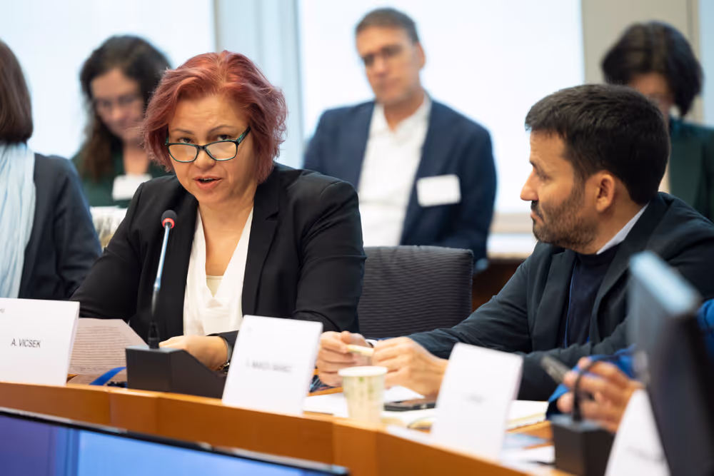 Minorities Intergroup Conference - Pillars of diversity: Our linguistic heritage shapes Europe