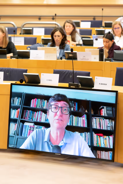 Foto 33: DROI - The EU strategy to promote and to protect human rights of women worldwide