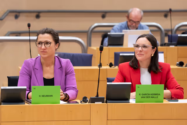 Foto 34: DROI - The EU strategy to promote and to protect human rights of women worldwide