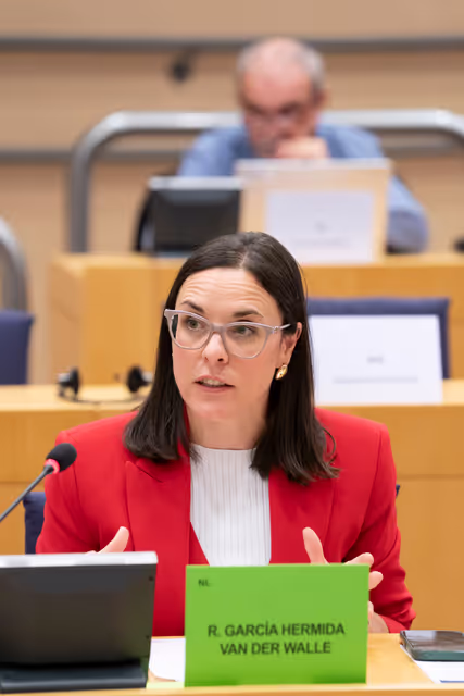 Foto 31: DROI - The EU strategy to promote and to protect human rights of women worldwide