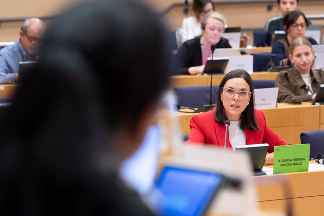 Foto 29: DROI - The EU strategy to promote and to protect human rights of women worldwide