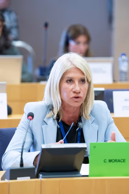 Foto 20: DROI - The EU strategy to promote and to protect human rights of women worldwide