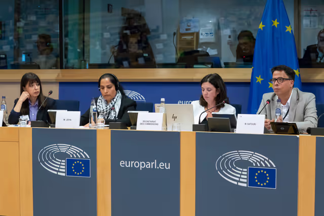 Foto 14: DROI - The EU strategy to promote and to protect human rights of women worldwide