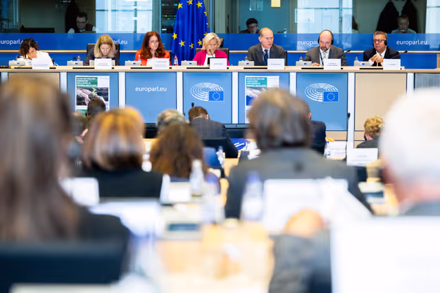 Foto 11: AGRI Interparliamentary Committee Meeting - New tools for risk management: enhancing the agricultural reserve and developing mechanisms to address natural, market, and sanitary risks