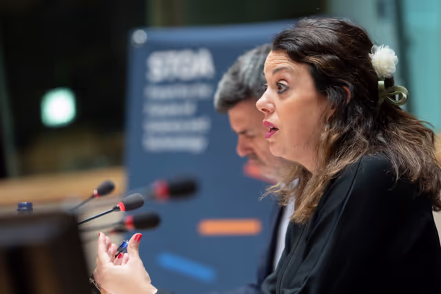 Foto 26: STOA workshop Long COVID: Current Realities, Future Directions