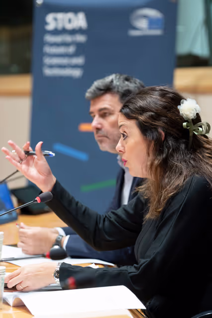 Foto 29: STOA workshop Long COVID: Current Realities, Future Directions