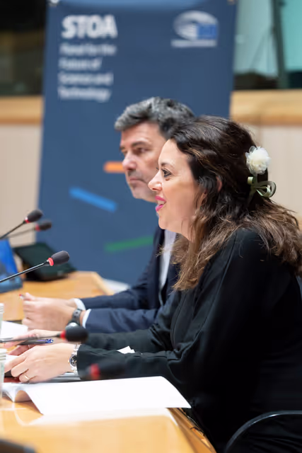 Foto 28: STOA workshop Long COVID: Current Realities, Future Directions