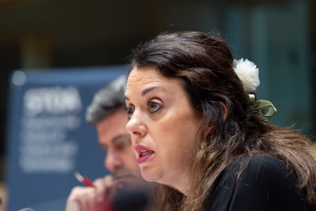 Foto 20: STOA workshop Long COVID: Current Realities, Future Directions