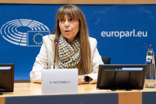 Foto 18: STOA workshop Long COVID: Current Realities, Future Directions