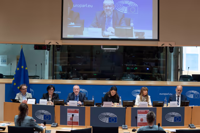 Foto 6: STOA workshop Long COVID: Current Realities, Future Directions