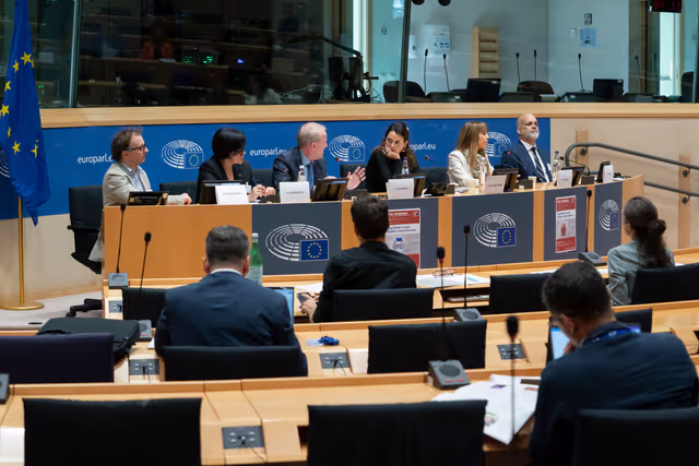 Foto 4: STOA workshop Long COVID: Current Realities, Future Directions