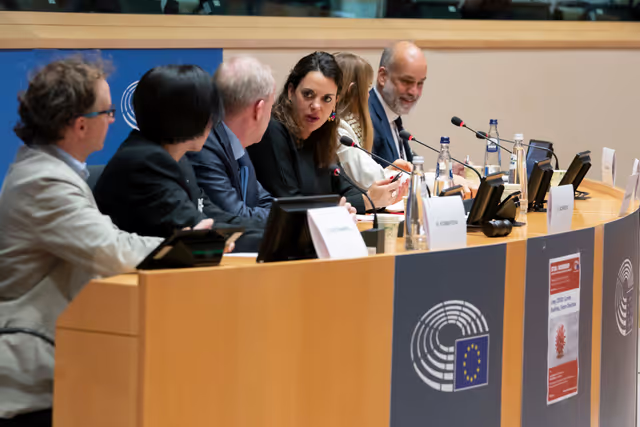 Foto 3: STOA workshop Long COVID: Current Realities, Future Directions