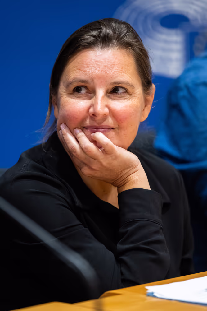 STOA - round table ' Securing European Data Sovereignty: Evaluating Global Dependencies, Risks, and the European Response '