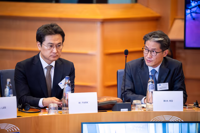 Foto 31: Delegation for relations with the Korean Peninsula (DKOR) meeting