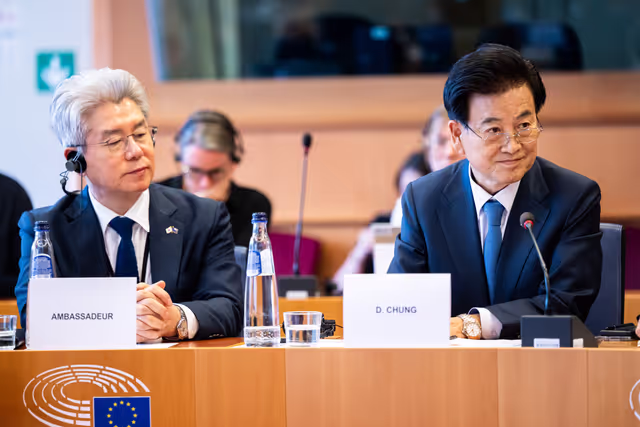 Foto 22: Delegation for relations with the Korean Peninsula (DKOR) meeting