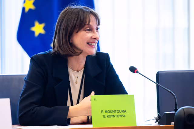 Foto 11: Delegation for relations with the Korean Peninsula (DKOR) meeting