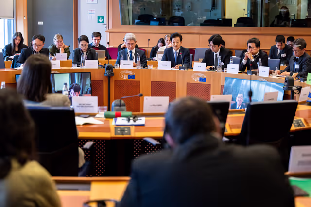 Foto 9: Delegation for relations with the Korean Peninsula (DKOR) meeting