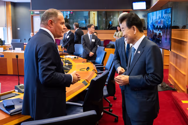 Foto 37: Delegation for relations with the Korean Peninsula (DKOR) meeting