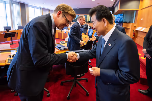 Foto 35: Delegation for relations with the Korean Peninsula (DKOR) meeting