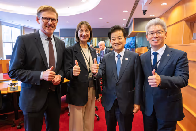 Foto 33: Delegation for relations with the Korean Peninsula (DKOR) meeting