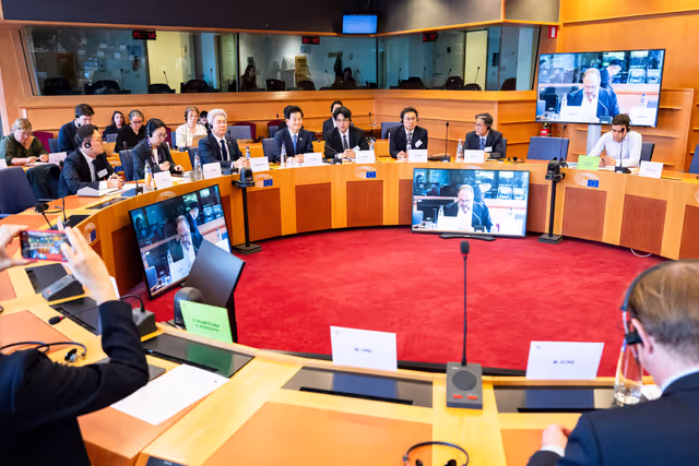 Foto 28: Delegation for relations with the Korean Peninsula (DKOR) meeting