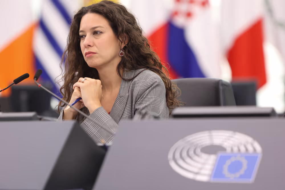 EP Plenary session - Revision of the Visa Suspension Mechanism