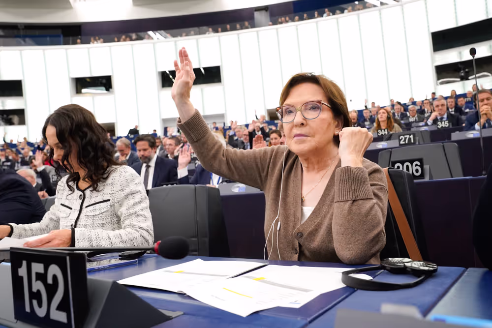 EP Plenary session - Voting session