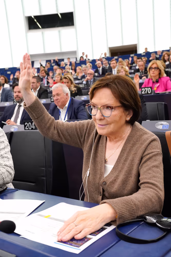 EP Plenary session - Voting session