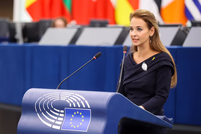 Fotagrafa 45: EP Plenary session - Rising antisemitism in Europe