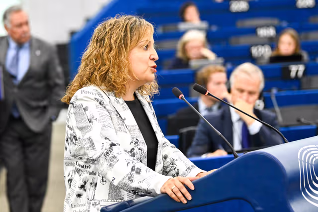 EP Plenary session - The EU’s role in supporting the recent peace efforts for Gaza and a two-state solution