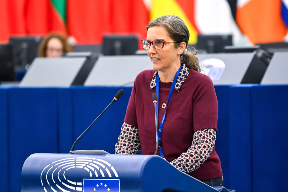 EP Plenary session - The EU’s role in supporting the recent peace efforts for Gaza and a two-state solution