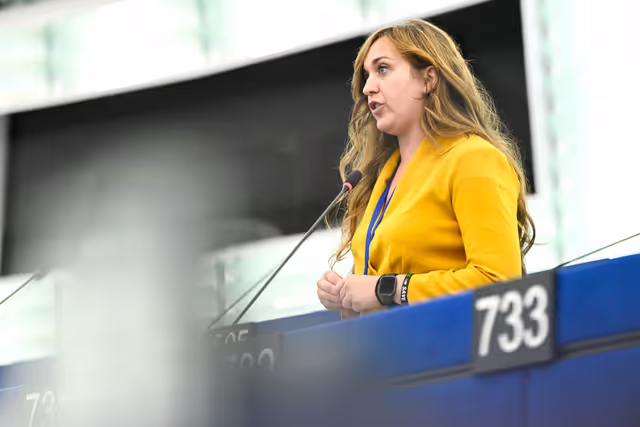 Suriet 28: EP Plenary session - The EU’s role in supporting the recent peace efforts for Gaza and a two-state solution