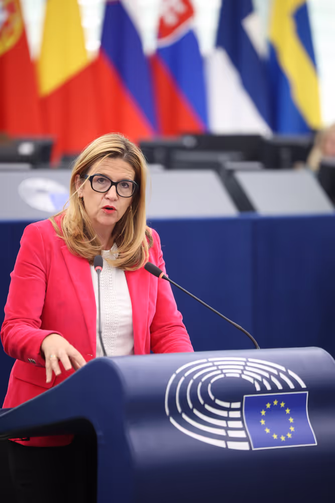 EP Plenary session - Joint debate - Common Agricultural Policy