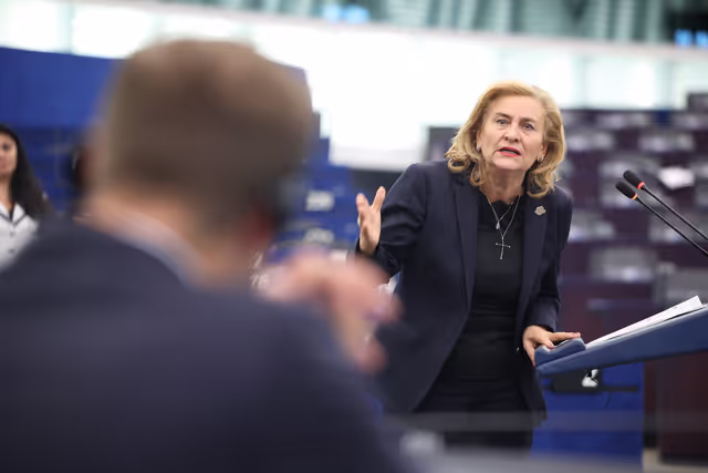 Foto 31: EP Plenary session - Joint debate - Common Agricultural Policy