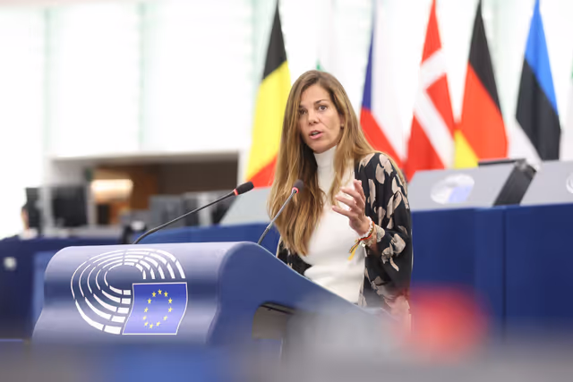 Foto 23: EP Plenary session - Joint debate - Common Agricultural Policy