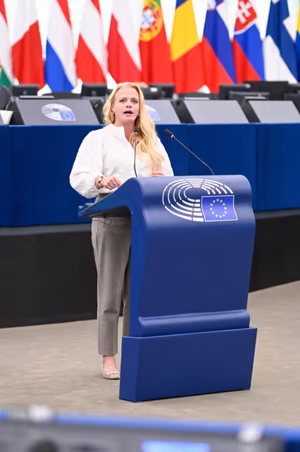 EP Plenary session - EU political strategy on Latin America