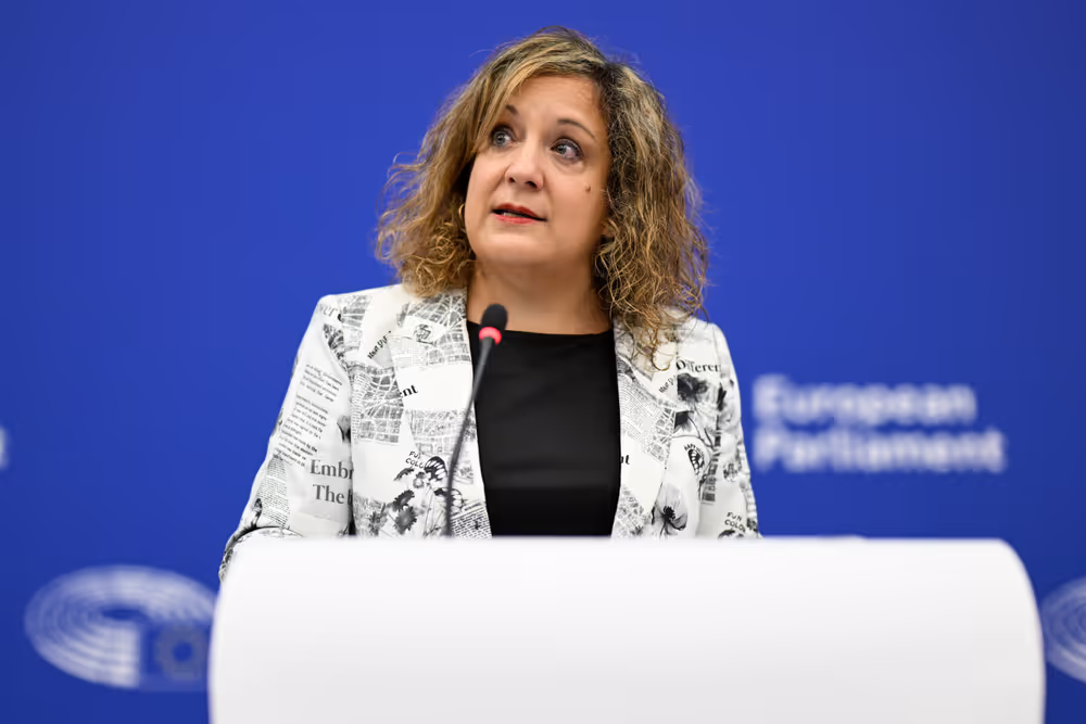 Press briefing S&D Group