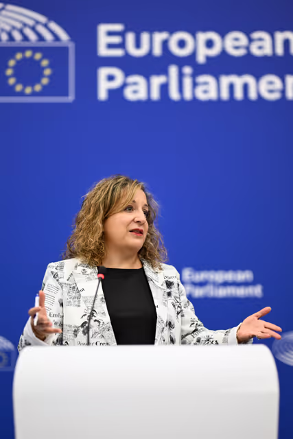 Fotogrāfija 3: Press briefing S&D Group