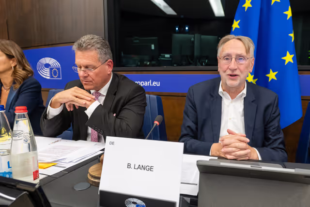 Billede 21: Conference of Committee Chairs