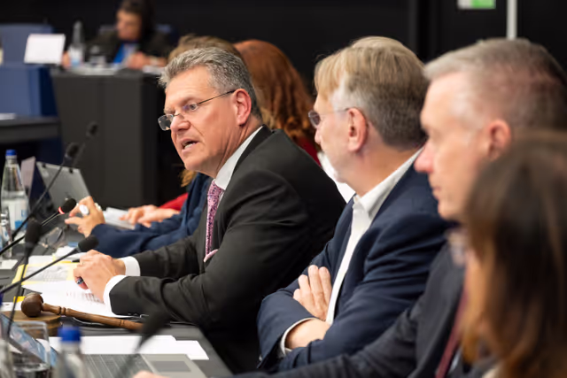 Billede 18: Conference of Committee Chairs