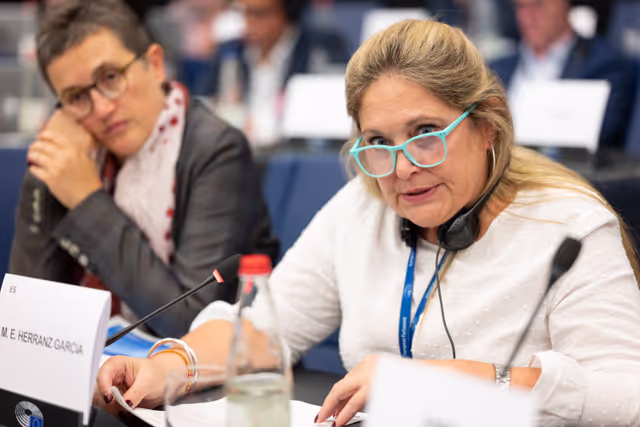 Billede 14: Conference of Committee Chairs