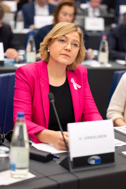 Billede 13: Conference of Committee Chairs