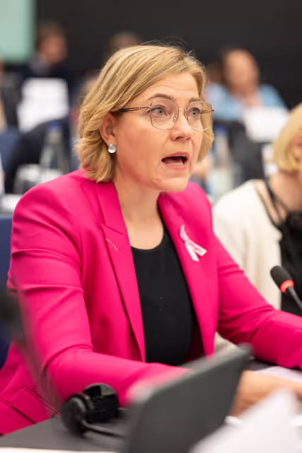 Billede 11: Conference of Committee Chairs