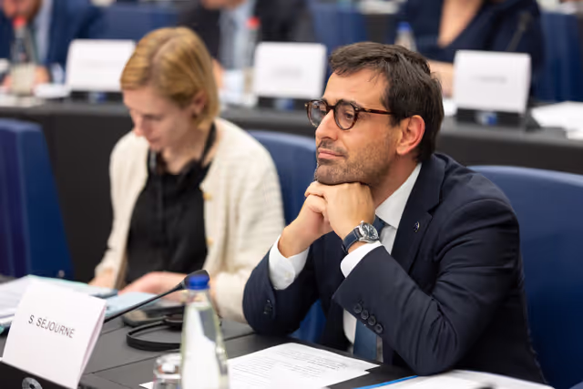 Billede 10: Conference of Committee Chairs