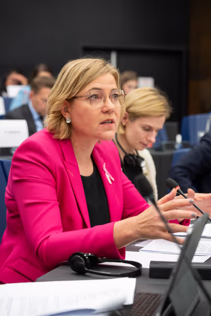 Billede 4: Conference of Committee Chairs