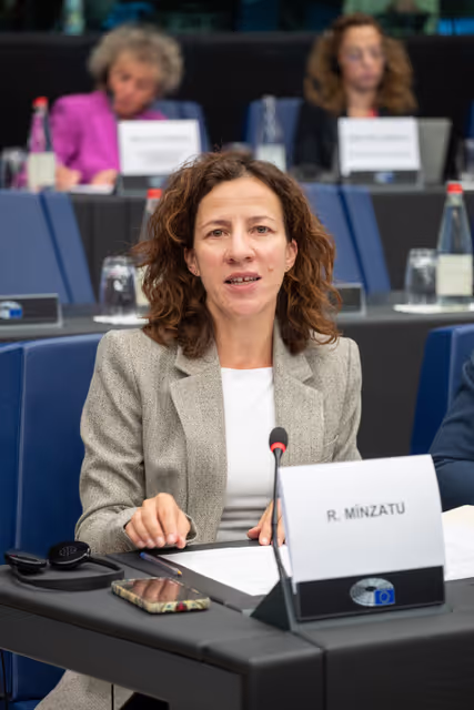 Billede 1: Conference of Committee Chairs