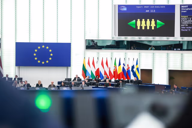 EP Plenary session - Voting session