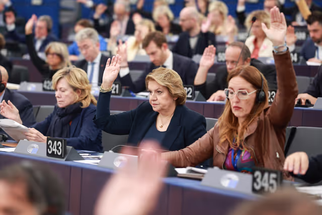 Nuotrauka 12: EP Plenary session - Voting session