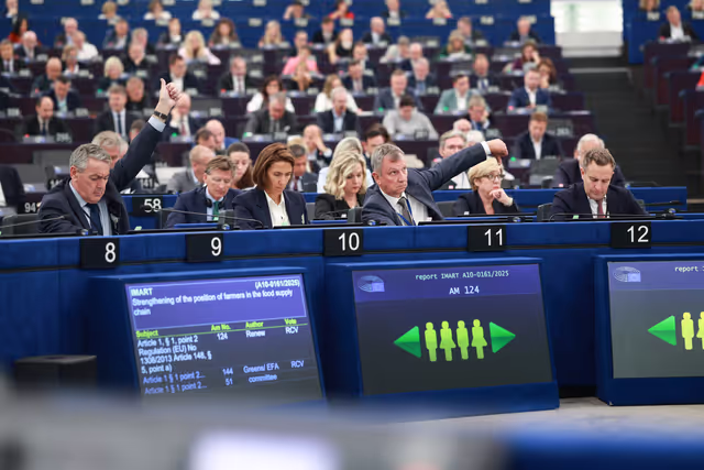Nuotrauka 8: EP Plenary session - Voting session